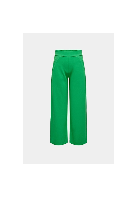Broek Louisville 15221238 NOOS  JDY
